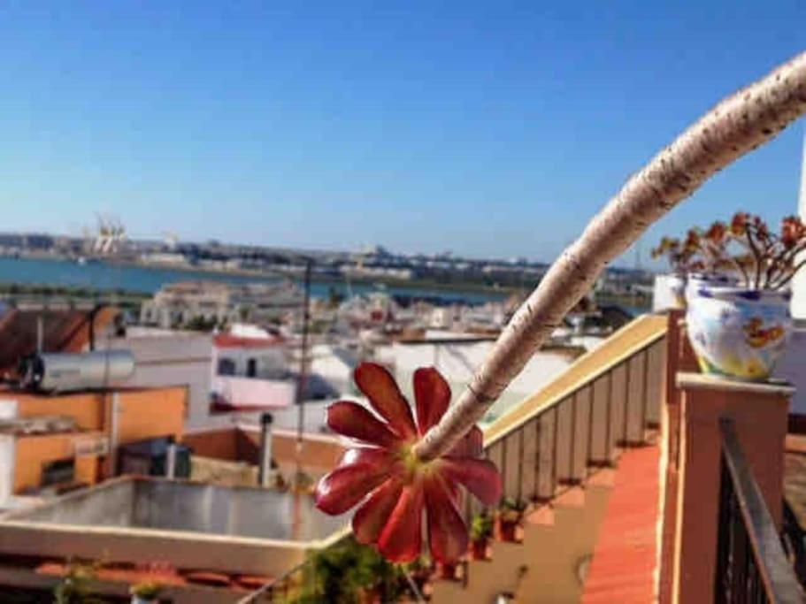 “Flor De Sal” Charming Traditional Andalusian House Ayamonte Exterior photo