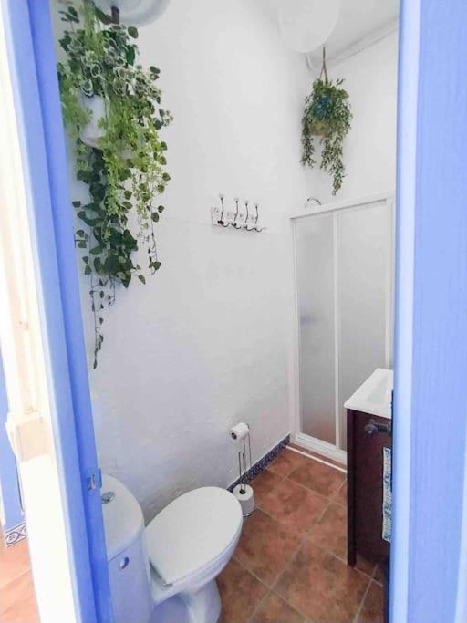 “Flor De Sal” Charming Traditional Andalusian House Ayamonte Exterior photo